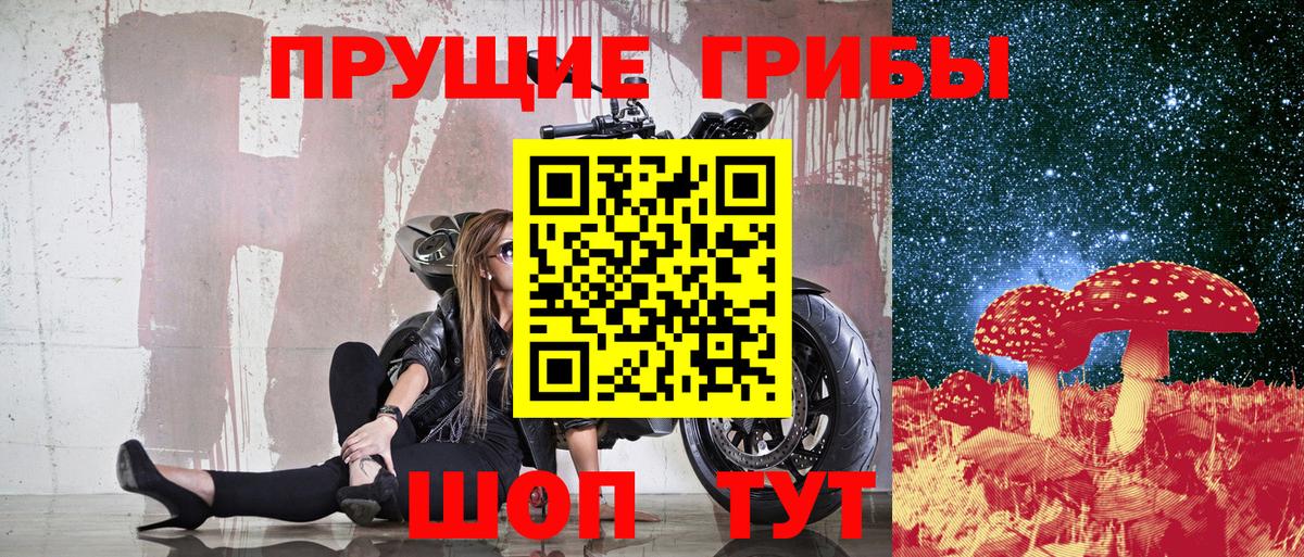 Черногорск  Псилоцибиновые грибы GOLDEN TEACHER  Вход с VPN  Псилоцибиновые грибы Cubensis 
