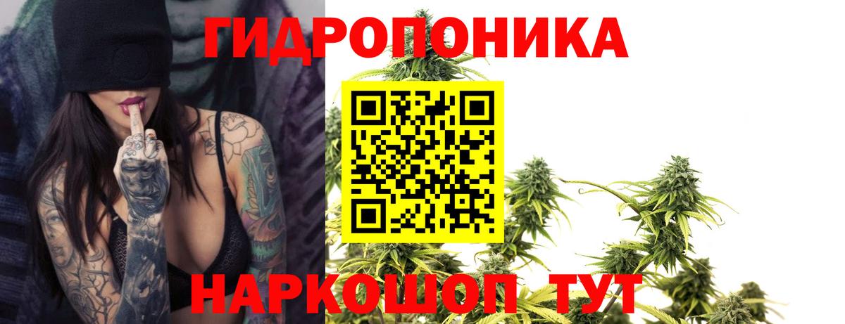 МАРИХУАНА VHQ  Вход с VPN  Шишки марихуана гибрид  Черногорск  МАРИХУАНА Ganja  Марихуана план 